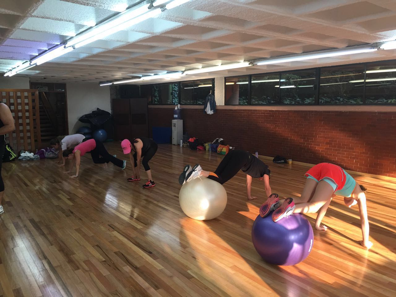 Gimnasio y entrenamiento funcional