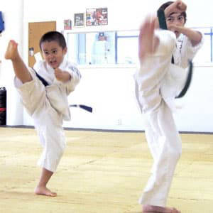 Karate Do